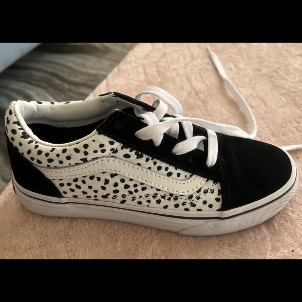 BN VANS